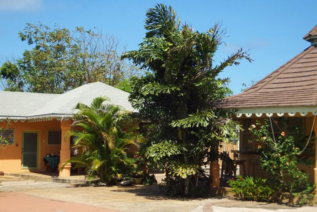 Pimento Lodge Resort Port Antonio Buitenkant foto