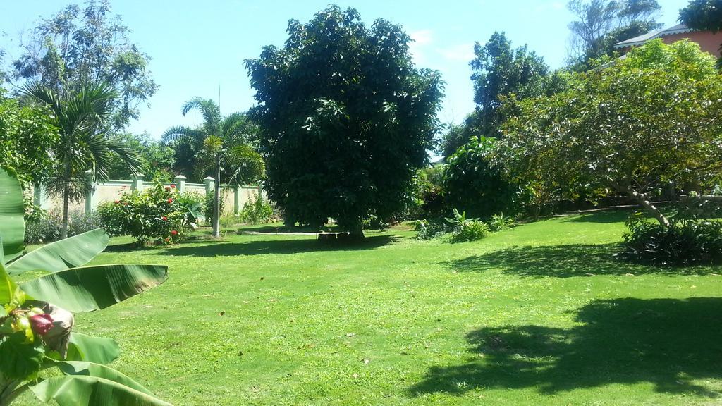 Pimento Lodge Resort Port Antonio Buitenkant foto