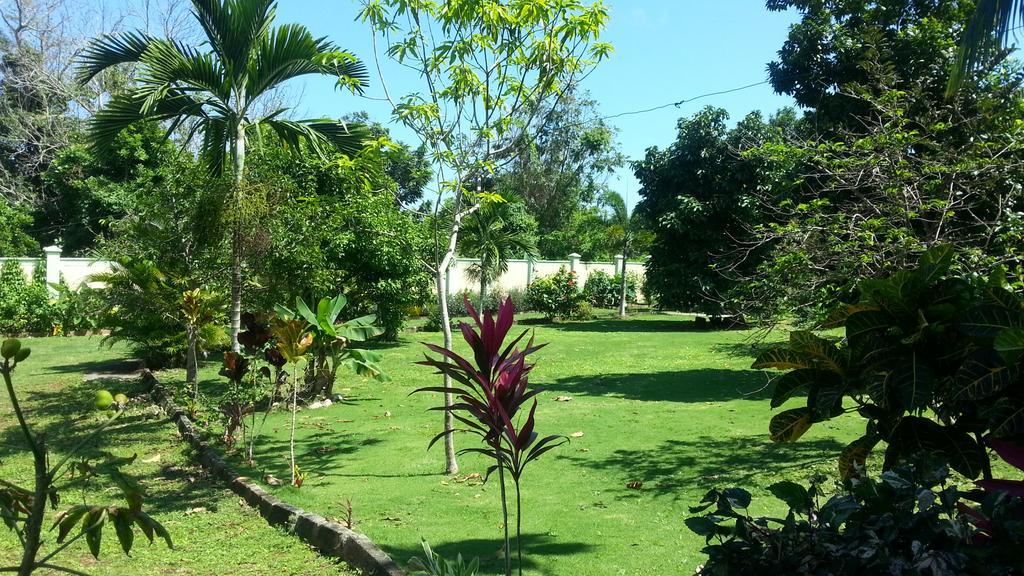 Pimento Lodge Resort Port Antonio Buitenkant foto