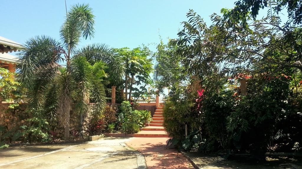 Pimento Lodge Resort Port Antonio Buitenkant foto