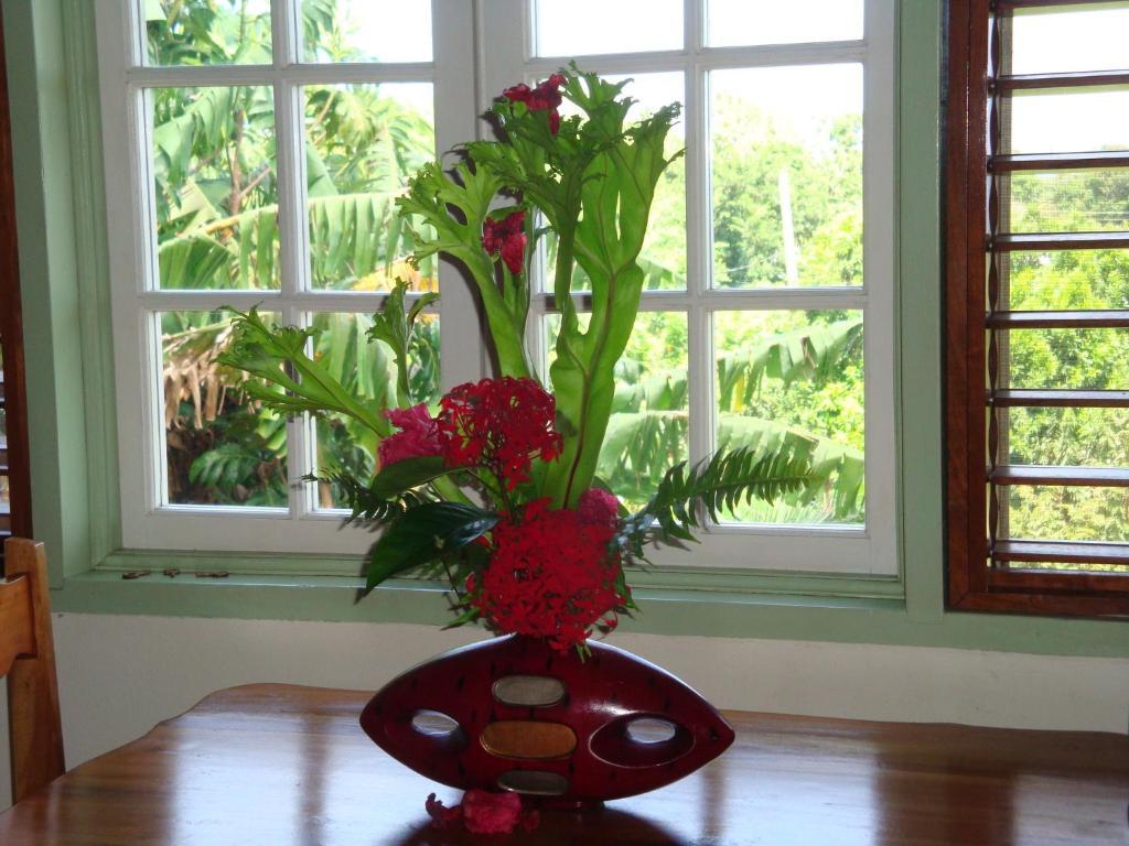 Pimento Lodge Resort Port Antonio Kamer foto